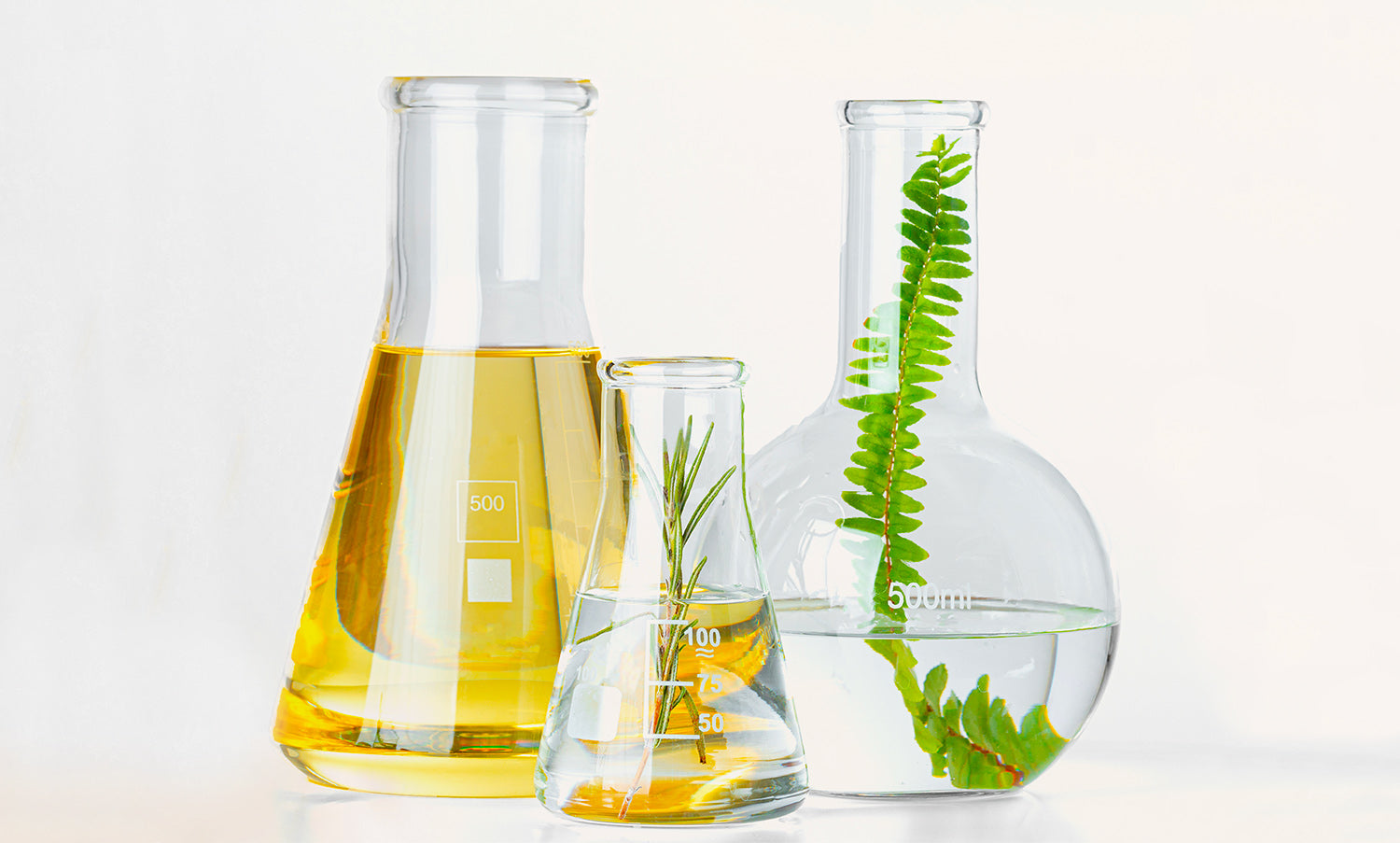 Méthodes d'extraction et cosmétiques