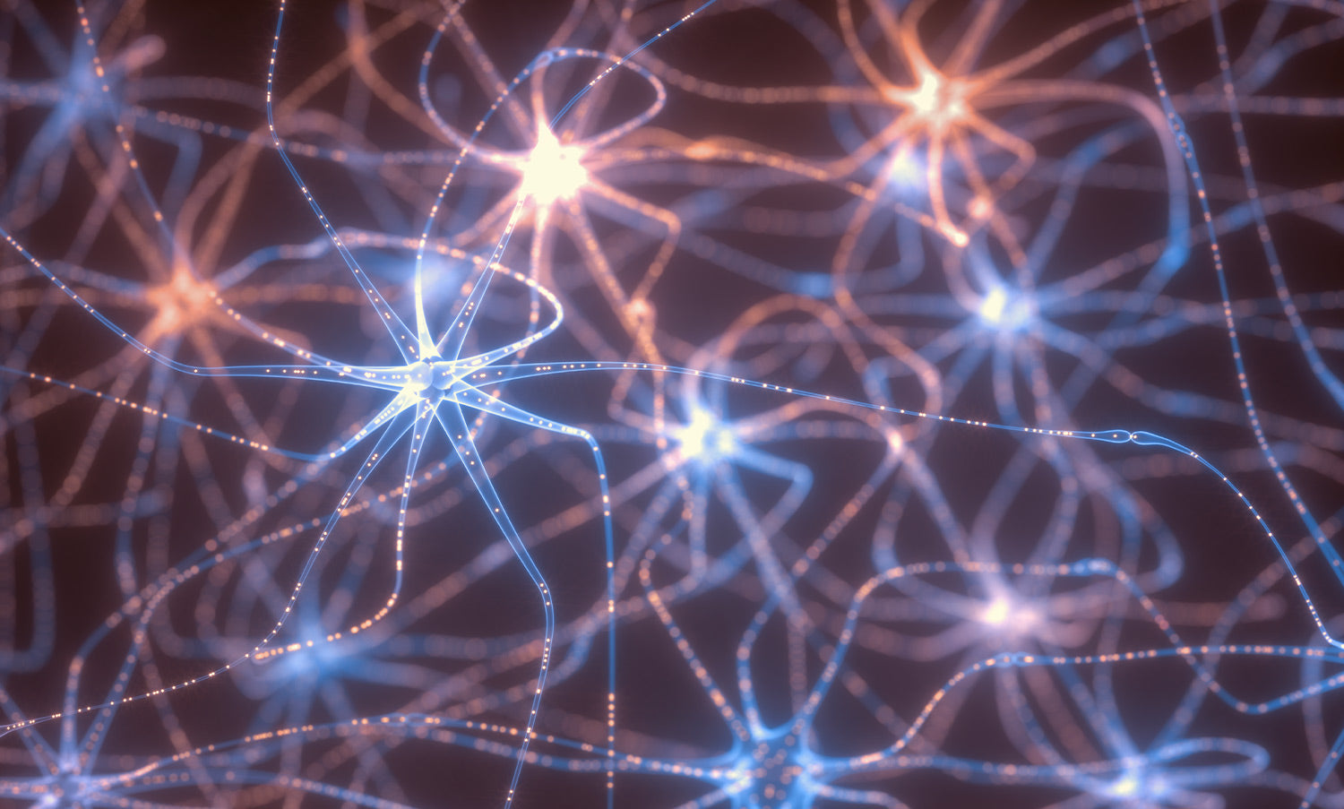 Neurocosmetics: When the Skin Speaks to the Brain