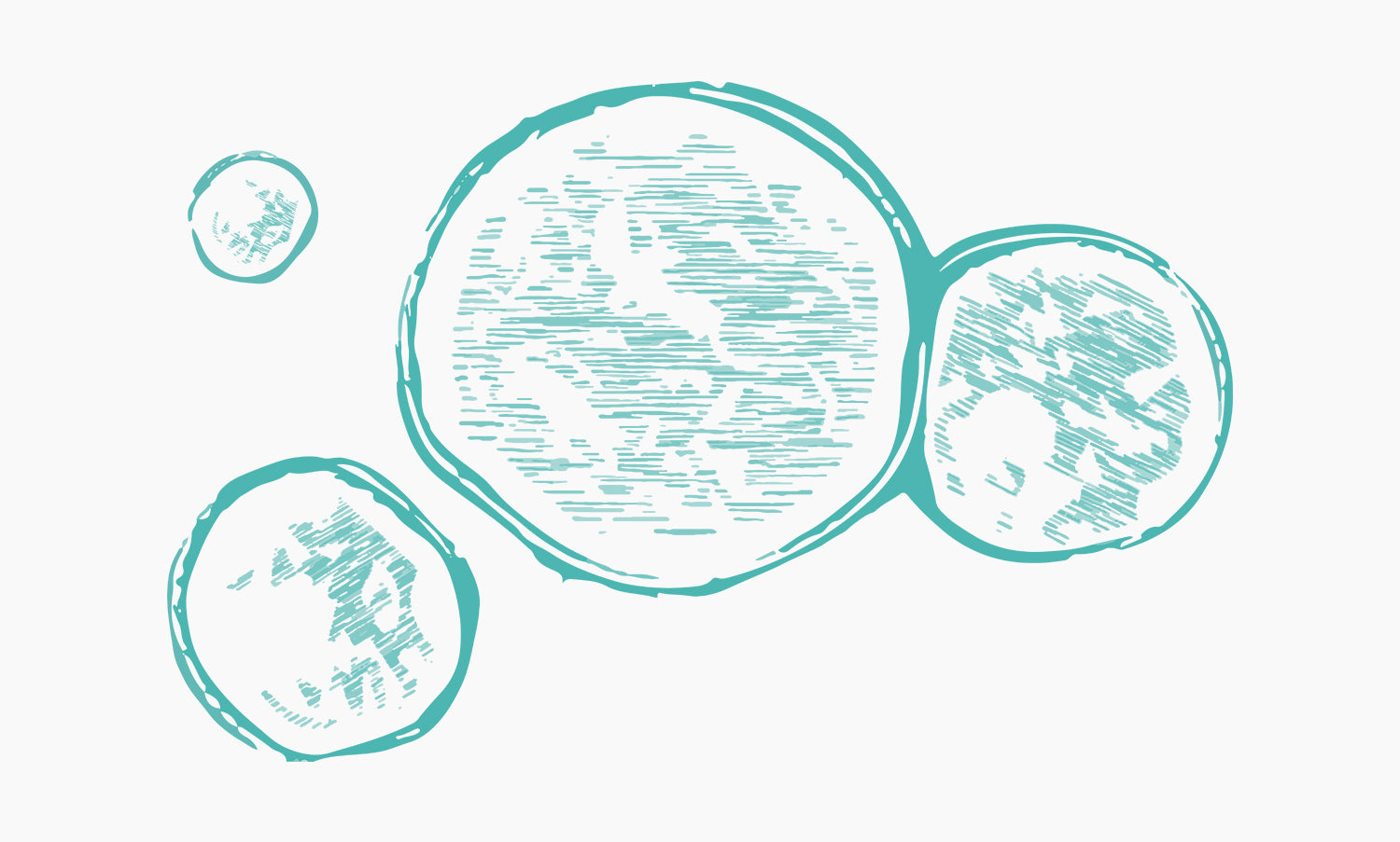 Chlorella | Chlorella vulgaris